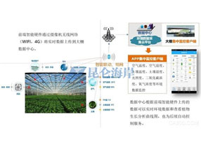 智慧農業葡萄園項目種植物聯網項目解決方案