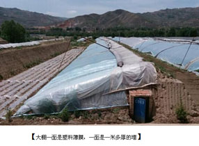傳統農業也在與時俱進，不信，你看