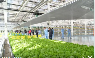 農業大棚環境監測系統應用方案