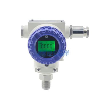 防護型隔爆壓力變送器 JYB-KG-P系列