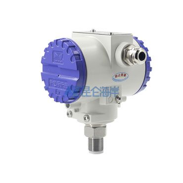 防護型防爆壓力變送器 JYB-KB-P系列