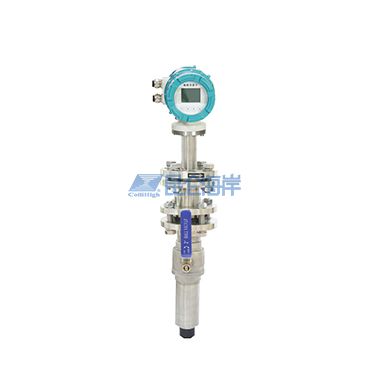 插入式電磁流量計 LDBE-CXE系列