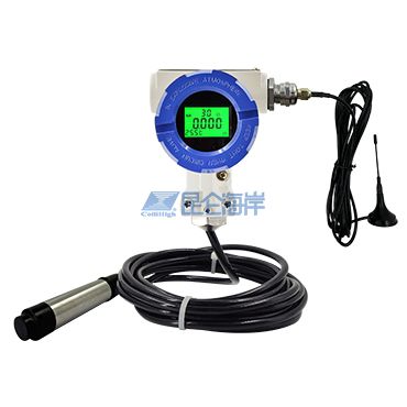 4G-S投入式液位傳感器 JYB-4G-S