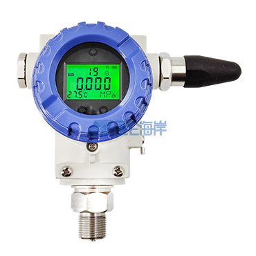 NB無線壓力隔爆傳感器 JYB-NB-PEx